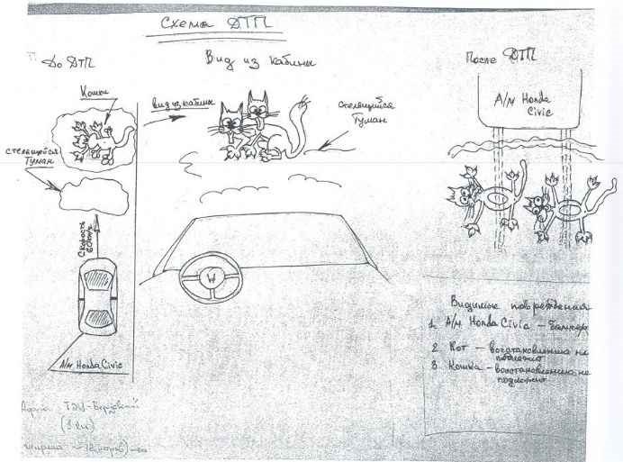 Как смешная иллюстрация того, как правильно составить объяснительную записку после дорожно-транспортного происшествия.