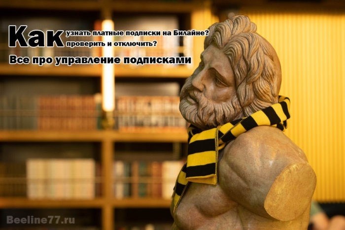 Как осуществить проверку подписок в сети Билайн?