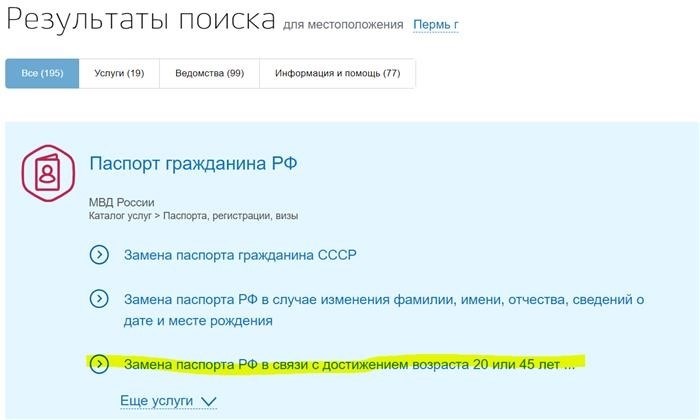 поиск информации на официальном веб-ресурсе Государственных услуг